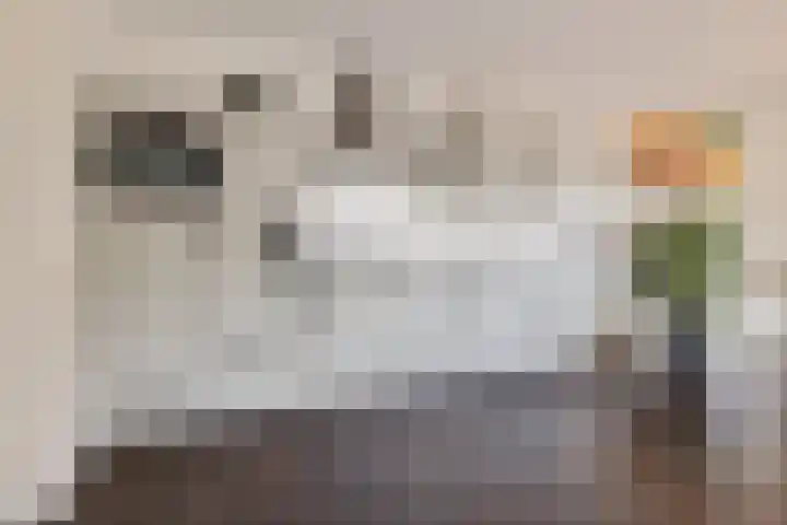 Hoofdweg 140 Froombosch thumbnail 30