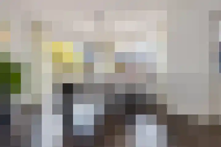 Hoofdweg 140 Froombosch thumbnail 33