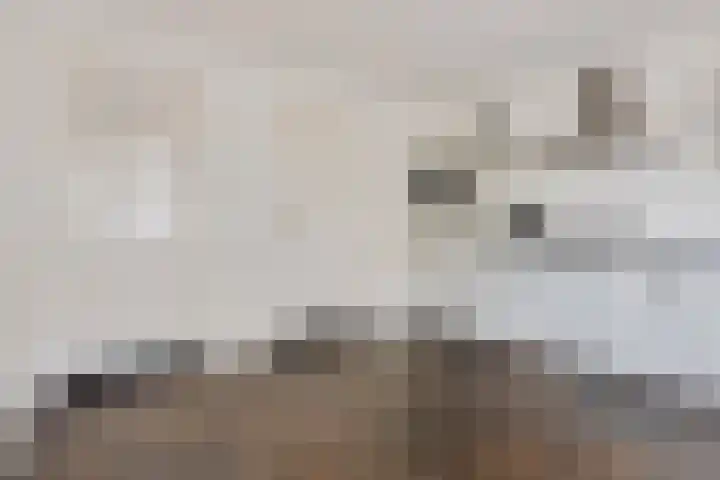 Hoofdweg 140 Froombosch thumbnail 34