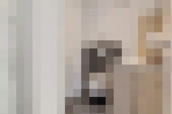 Hoofdweg 140 Froombosch thumbnail 36
