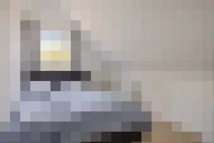 Hoofdweg 140 Froombosch thumbnail 45