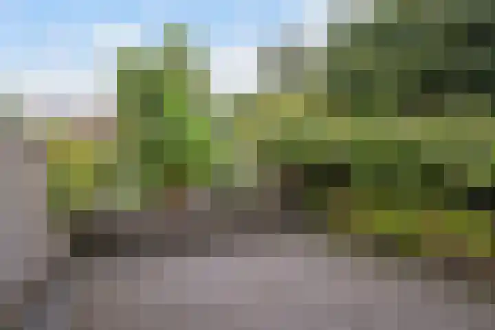 Hoofdweg 142 Rotterdam thumbnail 14