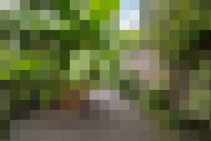 Hoofdweg 142 Rotterdam thumbnail 15