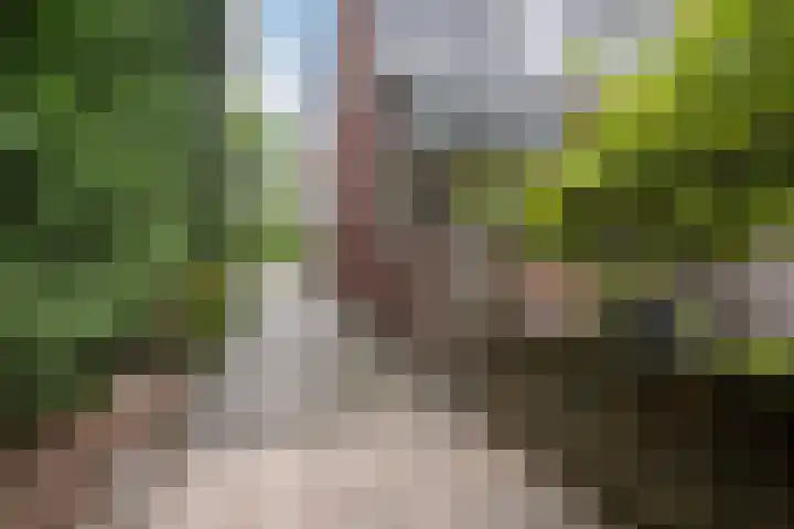 Hoofdweg 142 Rotterdam thumbnail 38