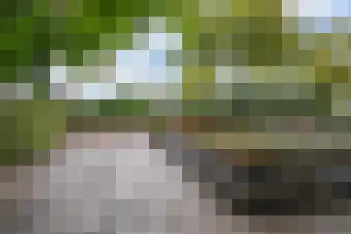 Hoofdweg 142 Rotterdam thumbnail 5