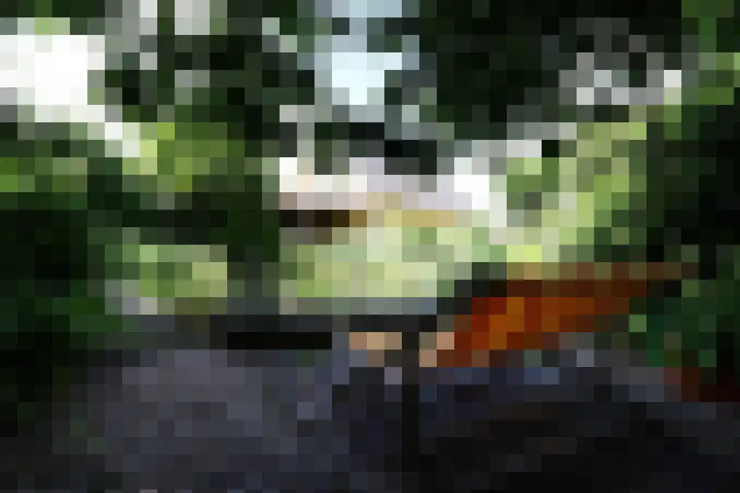 Hoofdweg 143 Bovensmilde thumbnail 33
