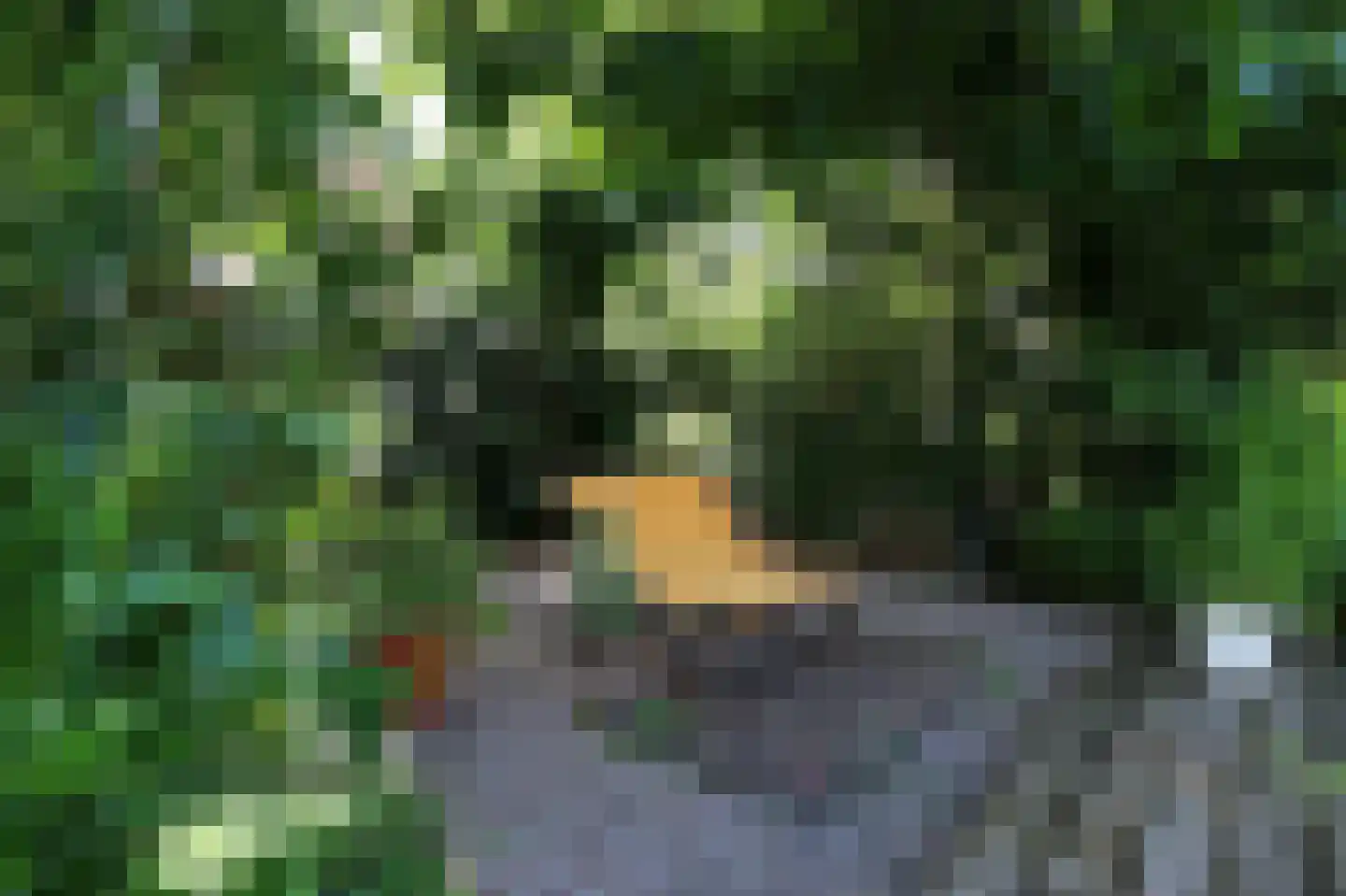 Hoofdweg 143 Bovensmilde thumbnail 34