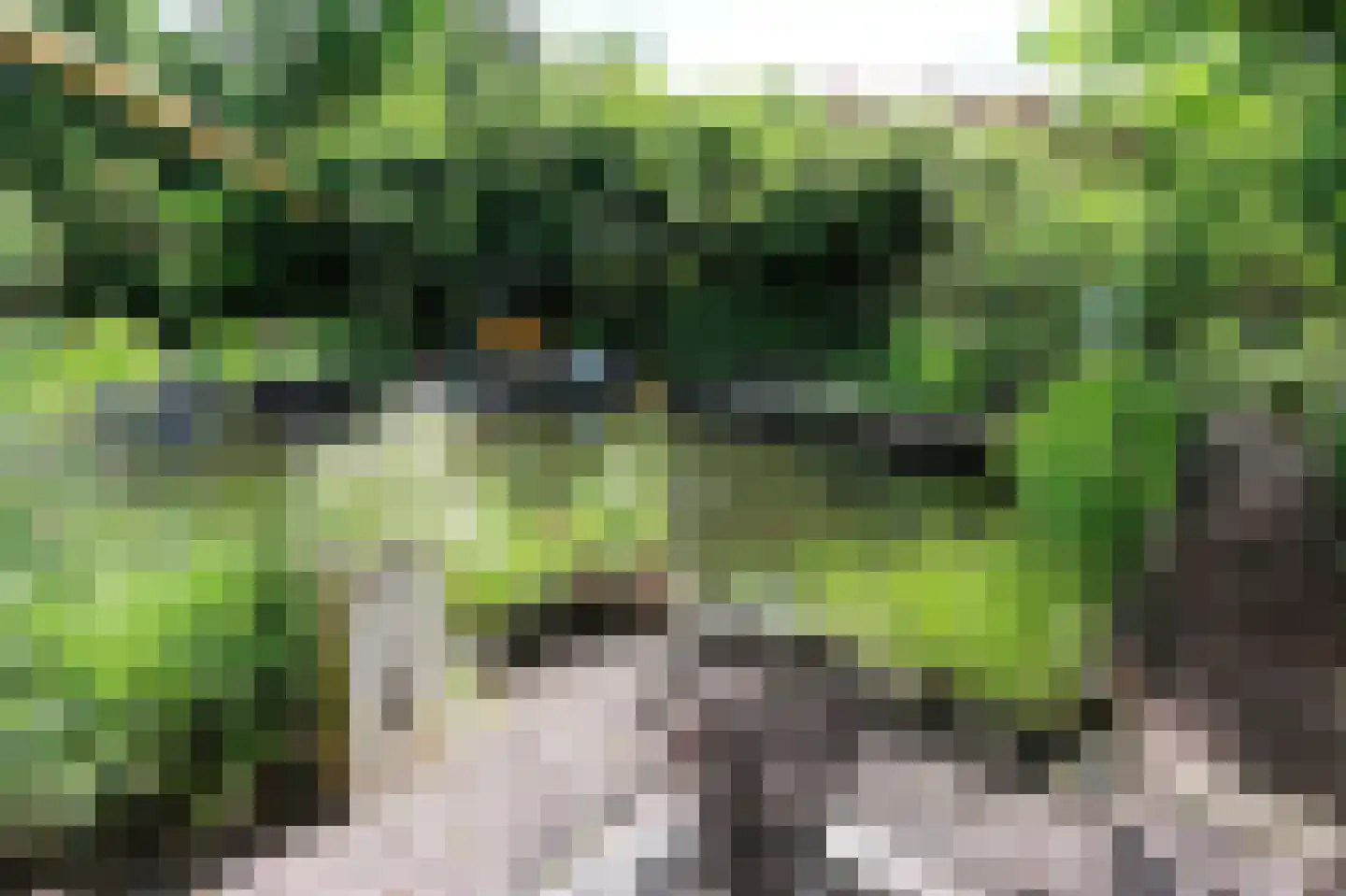 Hoofdweg 143 Bovensmilde thumbnail 35