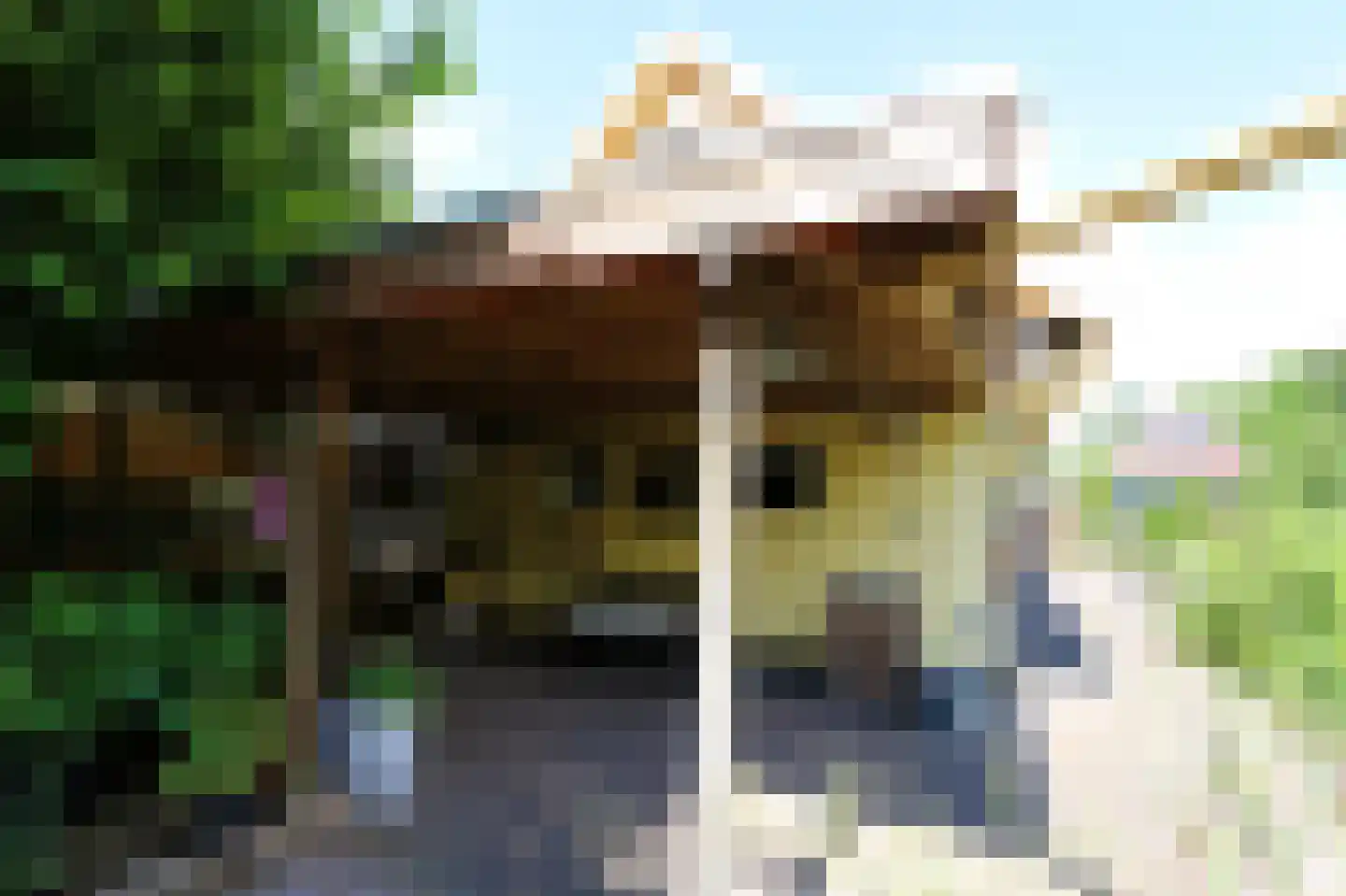 Hoofdweg 143 Bovensmilde thumbnail 37
