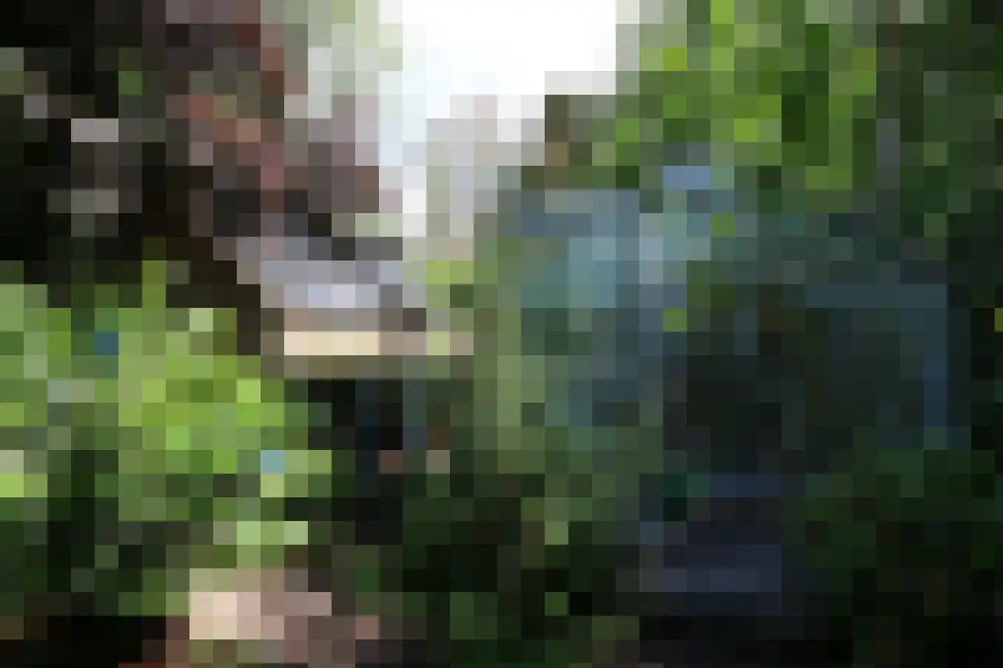 Hoofdweg 143 Bovensmilde thumbnail 39