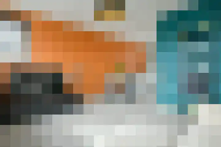 Hoofdweg 143 C Amsterdam thumbnail 6