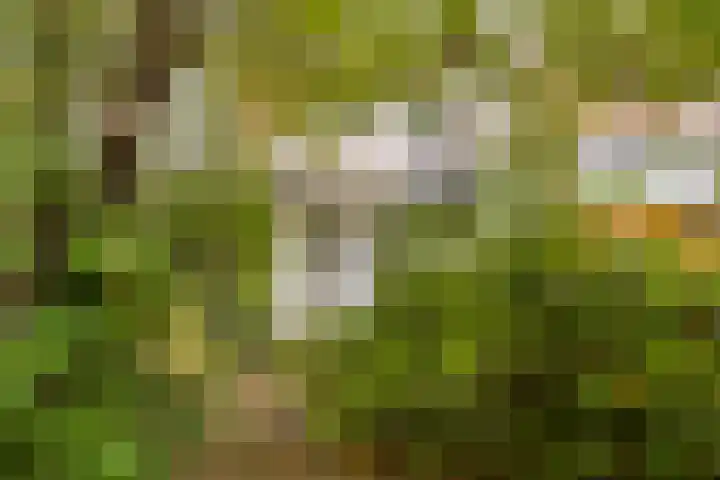 Hoofdweg 144 2 Amsterdam thumbnail 19