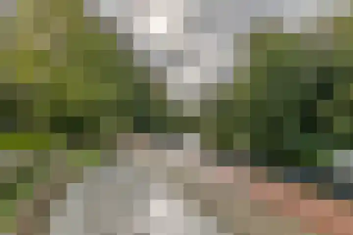 Hoofdweg 146 1 Amsterdam thumbnail 23