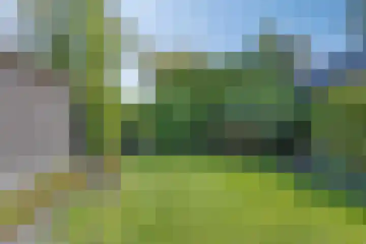 Hoofdweg 146 Bovensmilde thumbnail 39