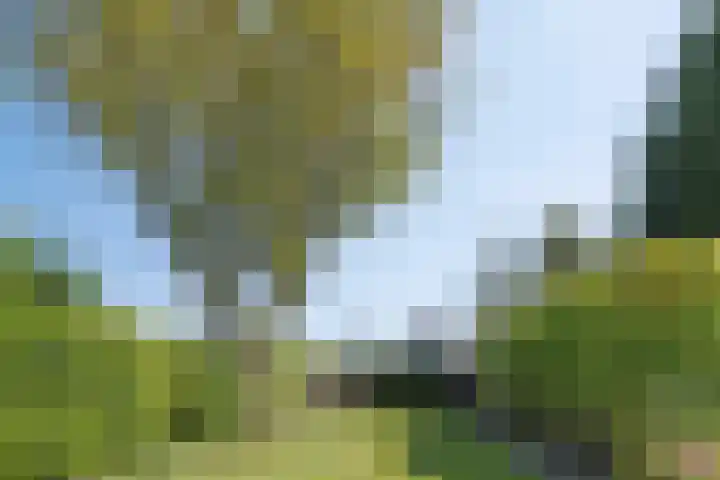 Hoofdweg 146 Bovensmilde thumbnail 4
