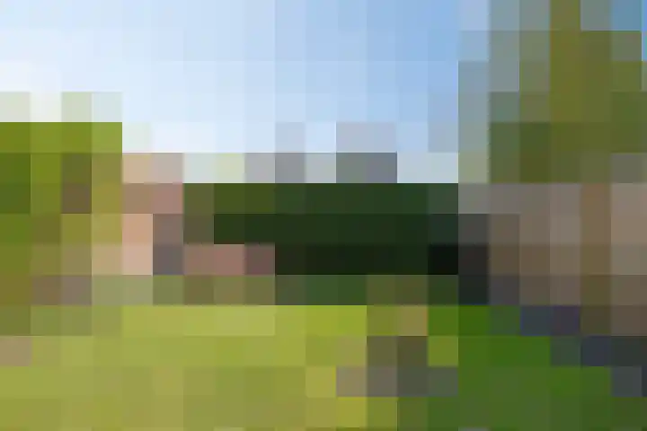 Hoofdweg 146 Bovensmilde thumbnail 40