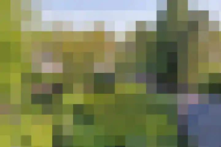 Hoofdweg 146 Bovensmilde thumbnail 42