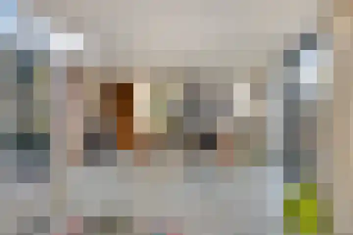 Hoofdweg 146 Veenhuizen thumbnail 22