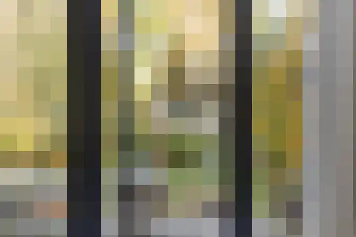 Hoofdweg 146 Veenhuizen thumbnail 23