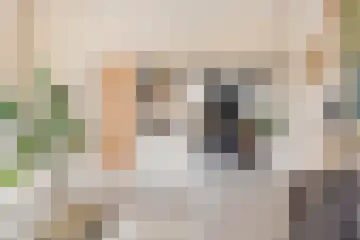Hoofdweg 146 Veenhuizen thumbnail 31