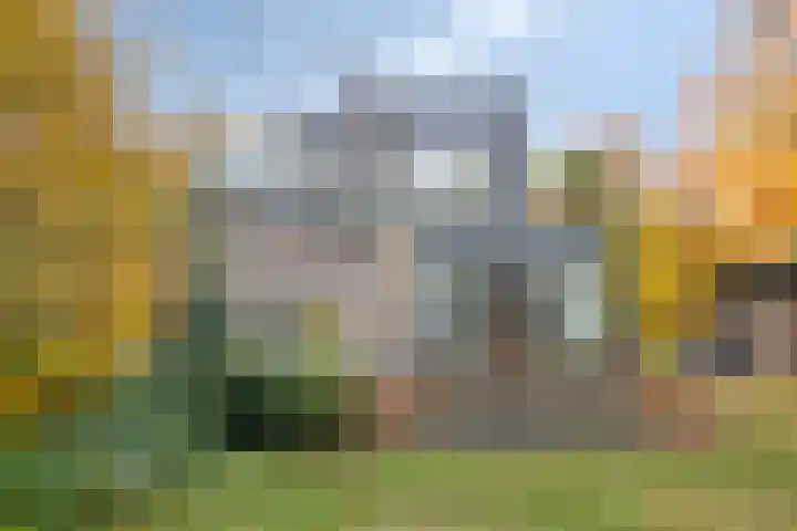 Hoofdweg 146 Veenhuizen thumbnail 47