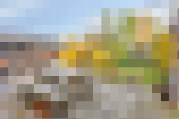 Hoofdweg 146 Veenhuizen thumbnail 48