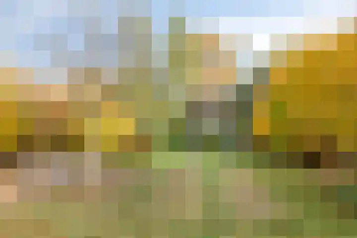 Hoofdweg 146 Veenhuizen thumbnail 50