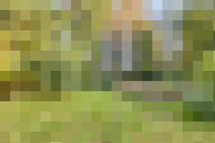 Hoofdweg 146 Veenhuizen thumbnail 51