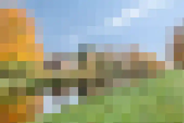 Hoofdweg 146 Veenhuizen thumbnail 56
