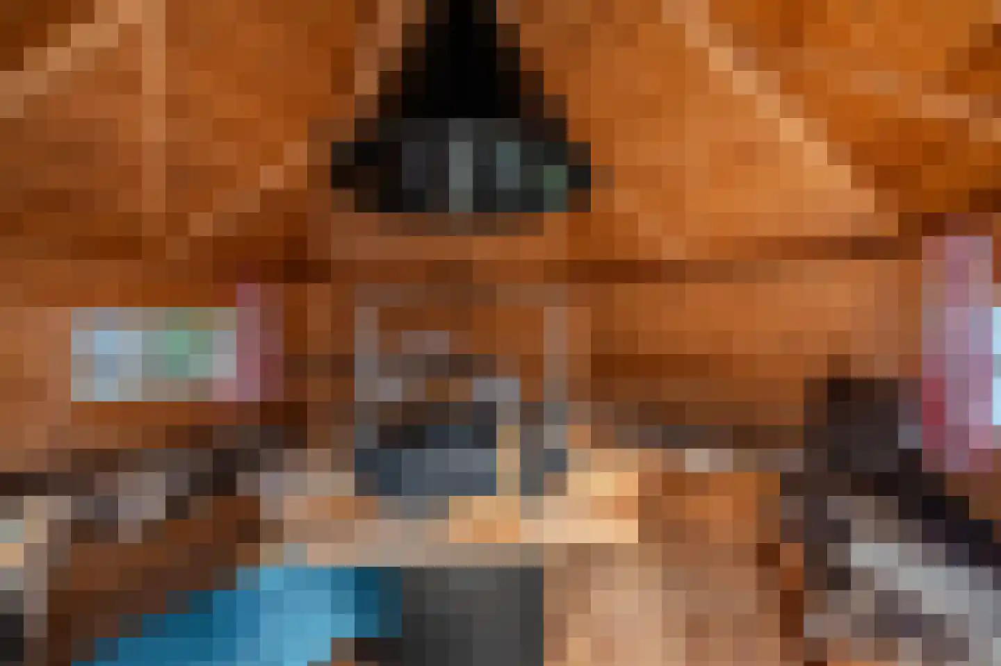Hoofdweg 147 Bellingwolde thumbnail 12
