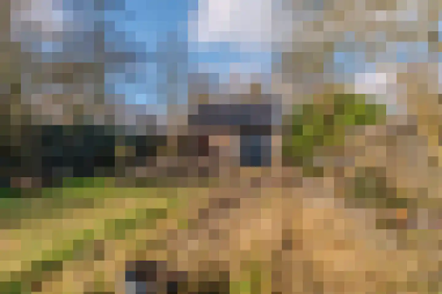 Hoofdweg 147 Bellingwolde thumbnail 13