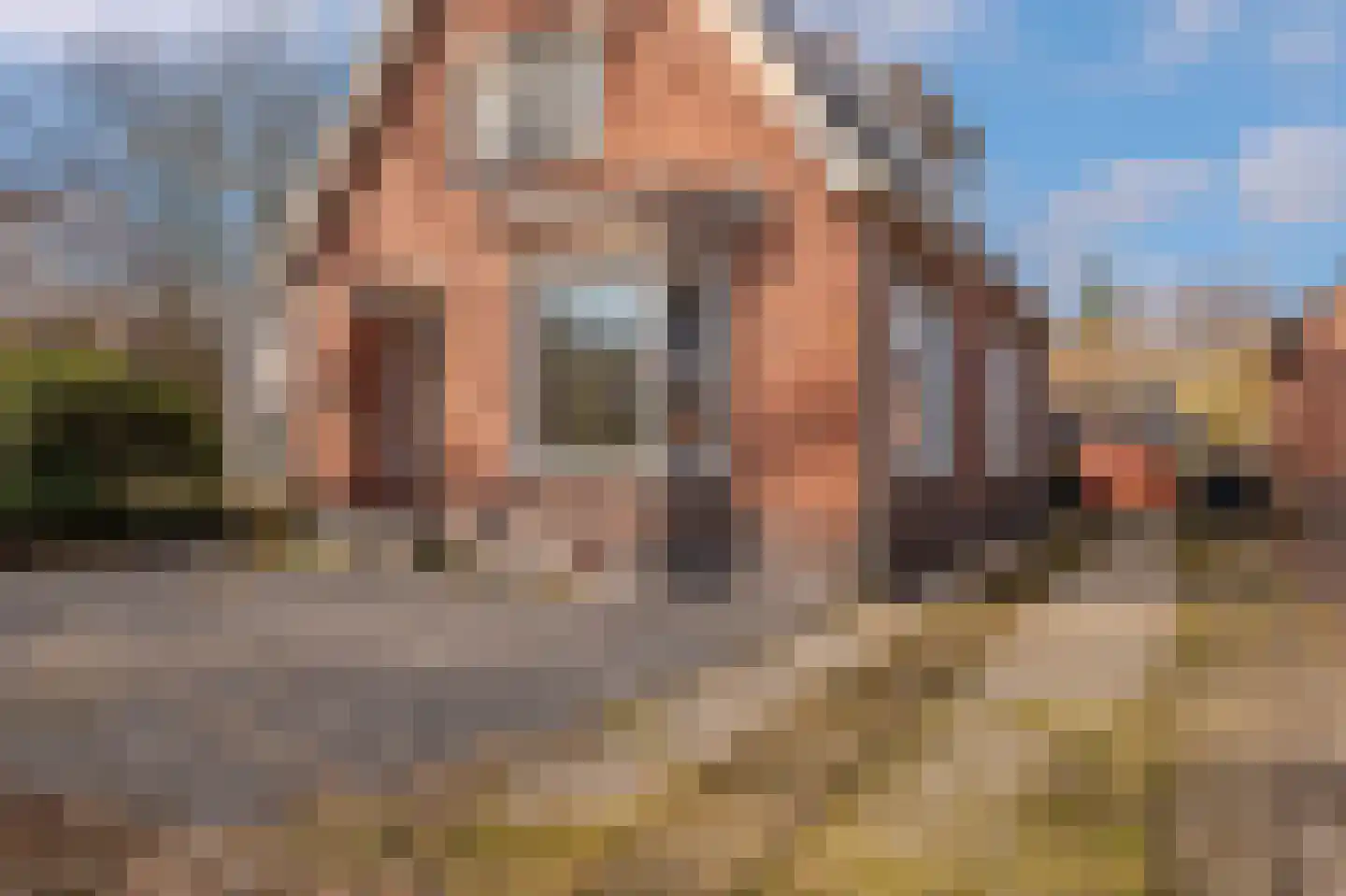 Hoofdweg 147 Bellingwolde thumbnail 15
