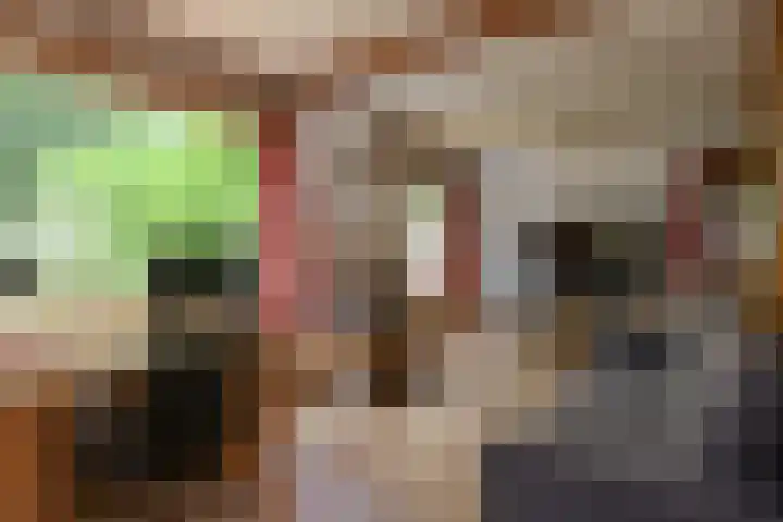 Hoofdweg 15 A Klarenbeek thumbnail 15