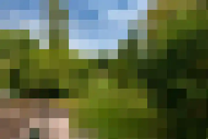 Hoofdweg 15 A Klarenbeek thumbnail 22