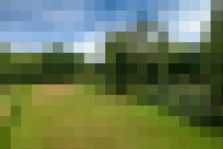Hoofdweg 15 A Klarenbeek thumbnail 23