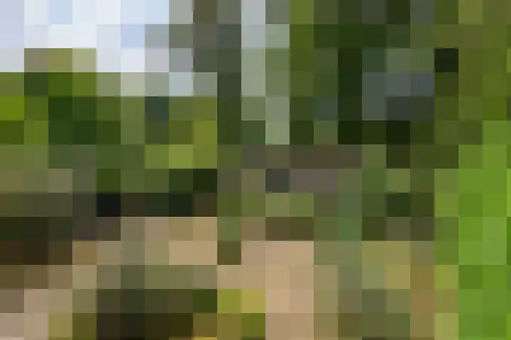 Hoofdweg 15 A Klarenbeek thumbnail 24