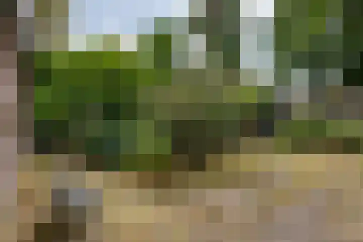 Hoofdweg 15 A Klarenbeek thumbnail 26