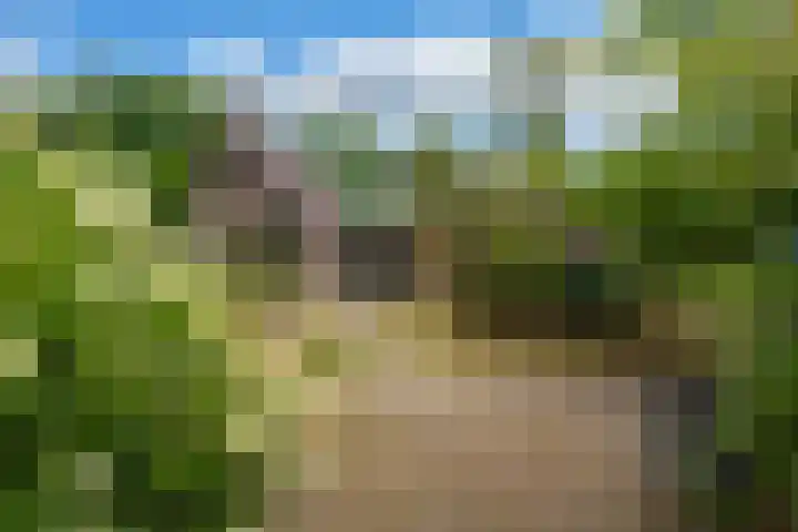 Hoofdweg 15 A Klarenbeek thumbnail 28