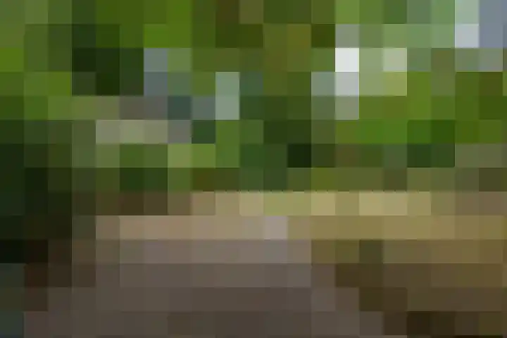 Hoofdweg 15 A Klarenbeek thumbnail 29