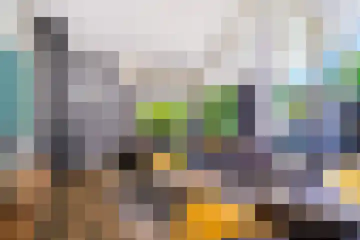 Hoofdweg 15 Froombosch thumbnail 18
