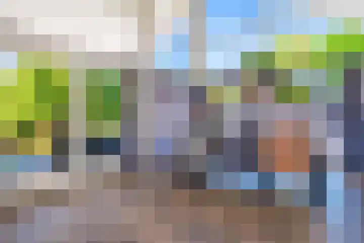 Hoofdweg 15 Froombosch thumbnail 20