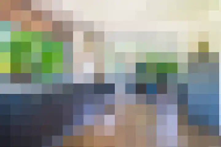 Hoofdweg 15 Froombosch thumbnail 26