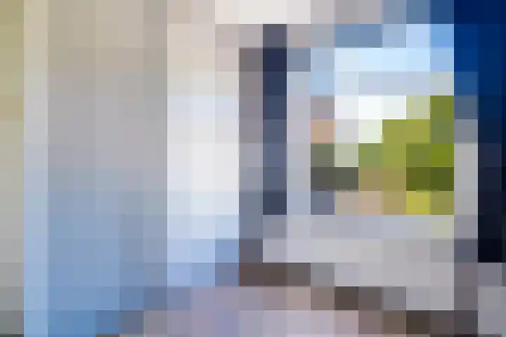 Hoofdweg 15 Froombosch thumbnail 32