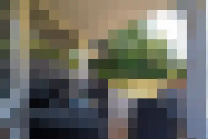 Hoofdweg 15 Froombosch thumbnail 48