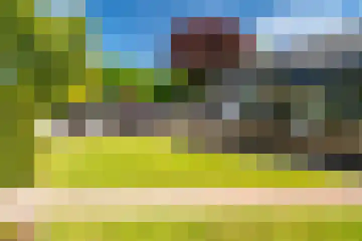 Hoofdweg 15 Froombosch thumbnail 50