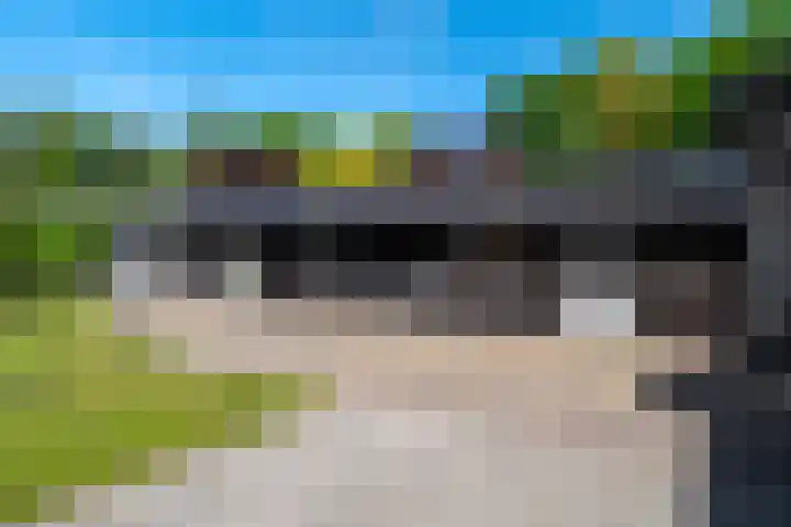 Hoofdweg 15 Froombosch thumbnail 51