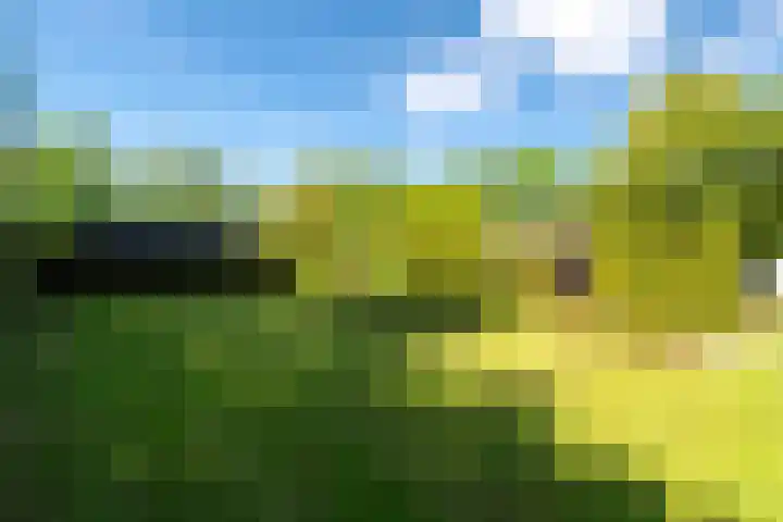Hoofdweg 15 Froombosch thumbnail 52