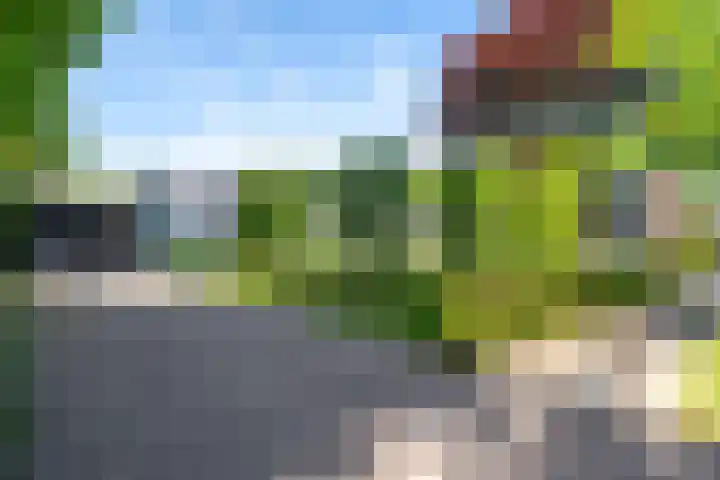 Hoofdweg 15 Froombosch thumbnail 6
