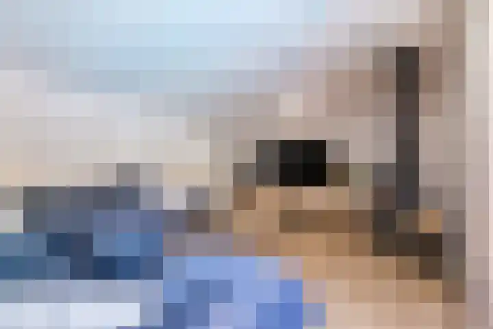 Hoofdweg 15 Froombosch thumbnail 63