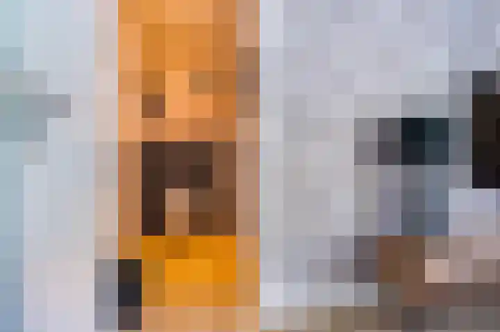 Hoofdweg 15 Froombosch thumbnail 64